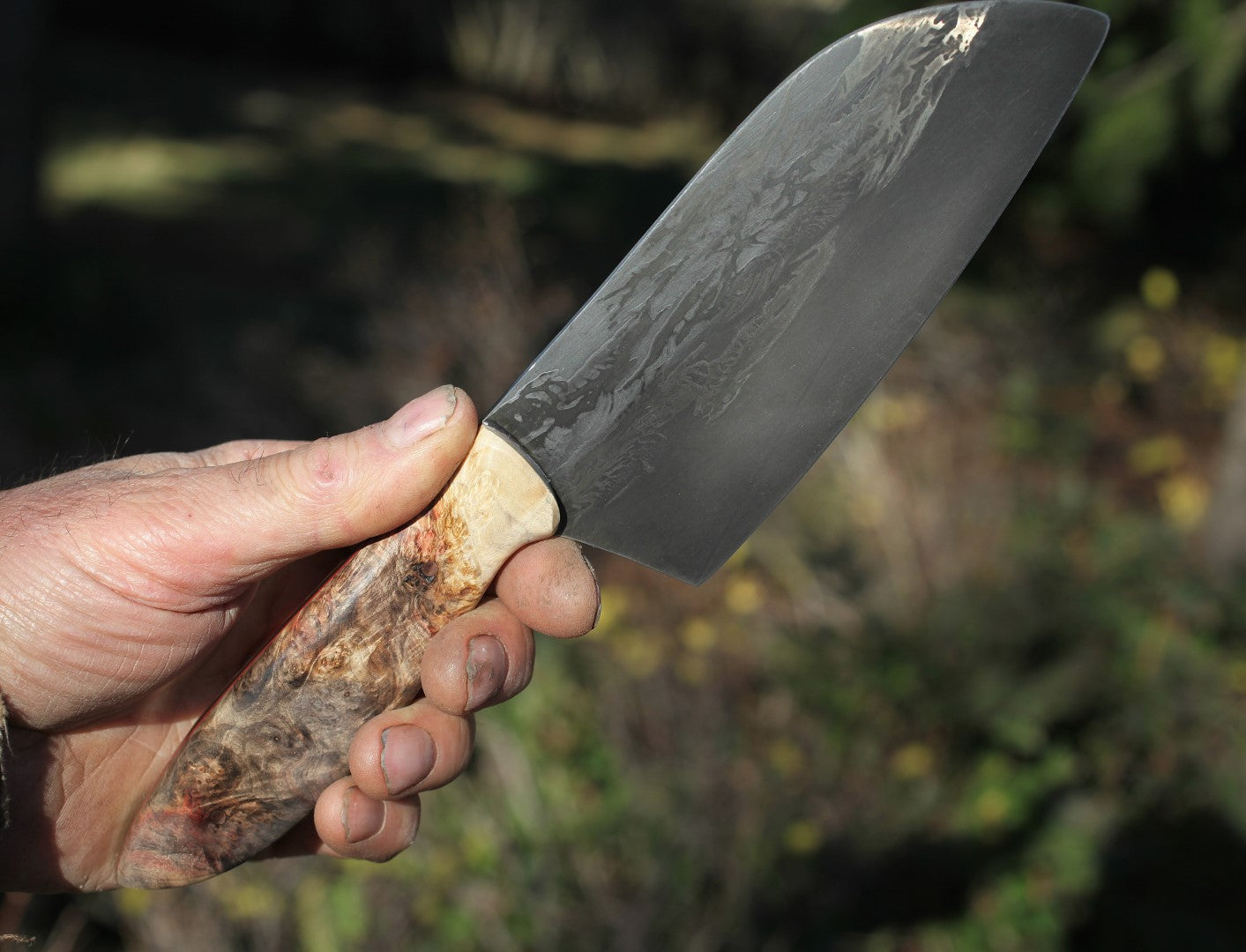 5.5 inch Camp/Chef, box elder burl