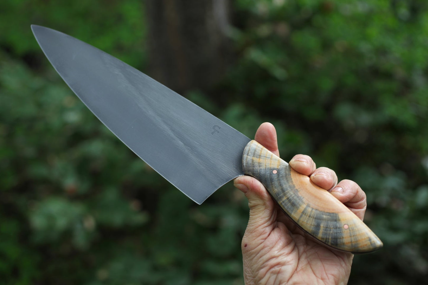 9 inch Custom Chefs knife in leather- Ponderosa pine