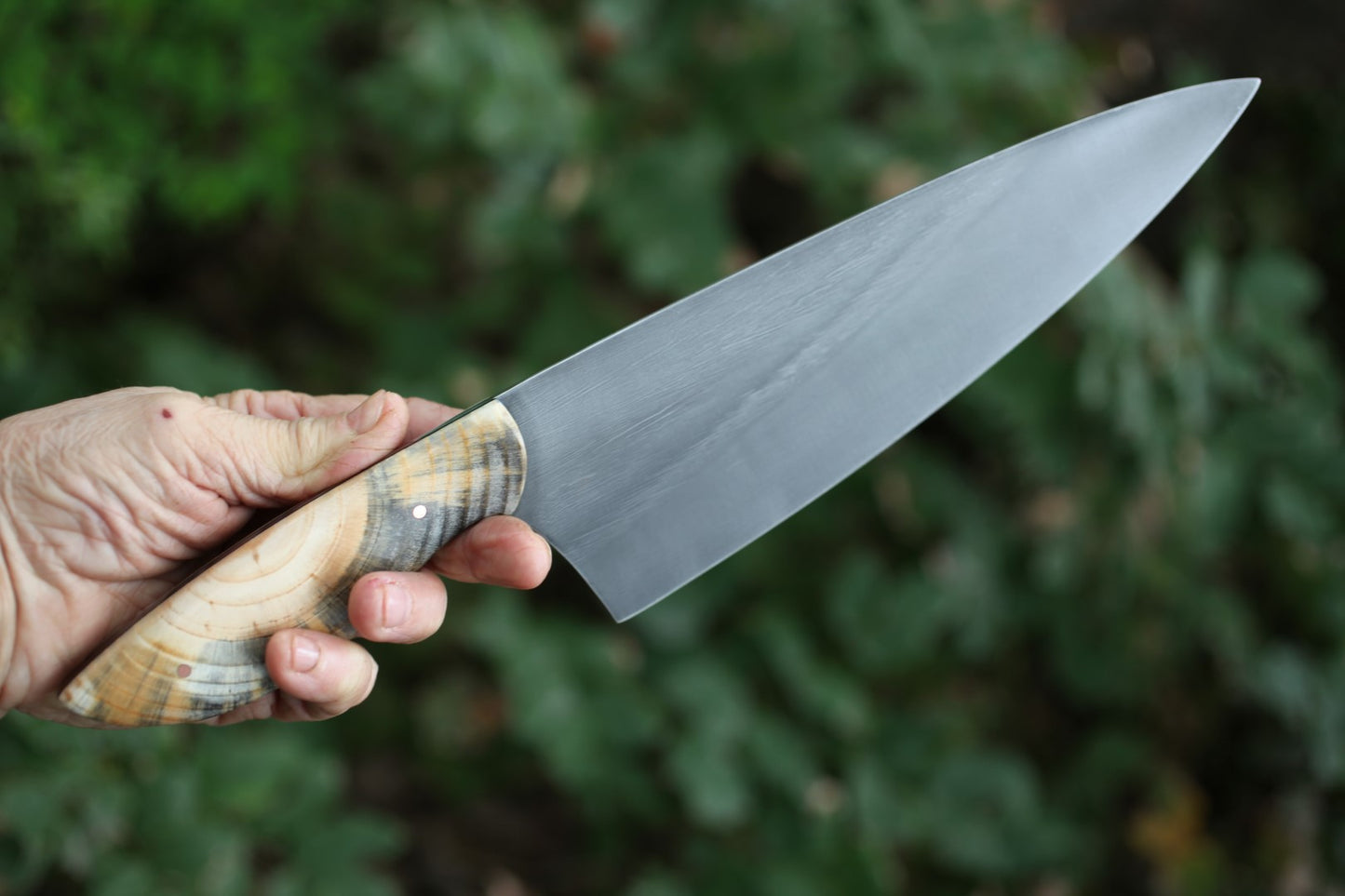 9 inch Custom Chefs knife in leather- Ponderosa pine