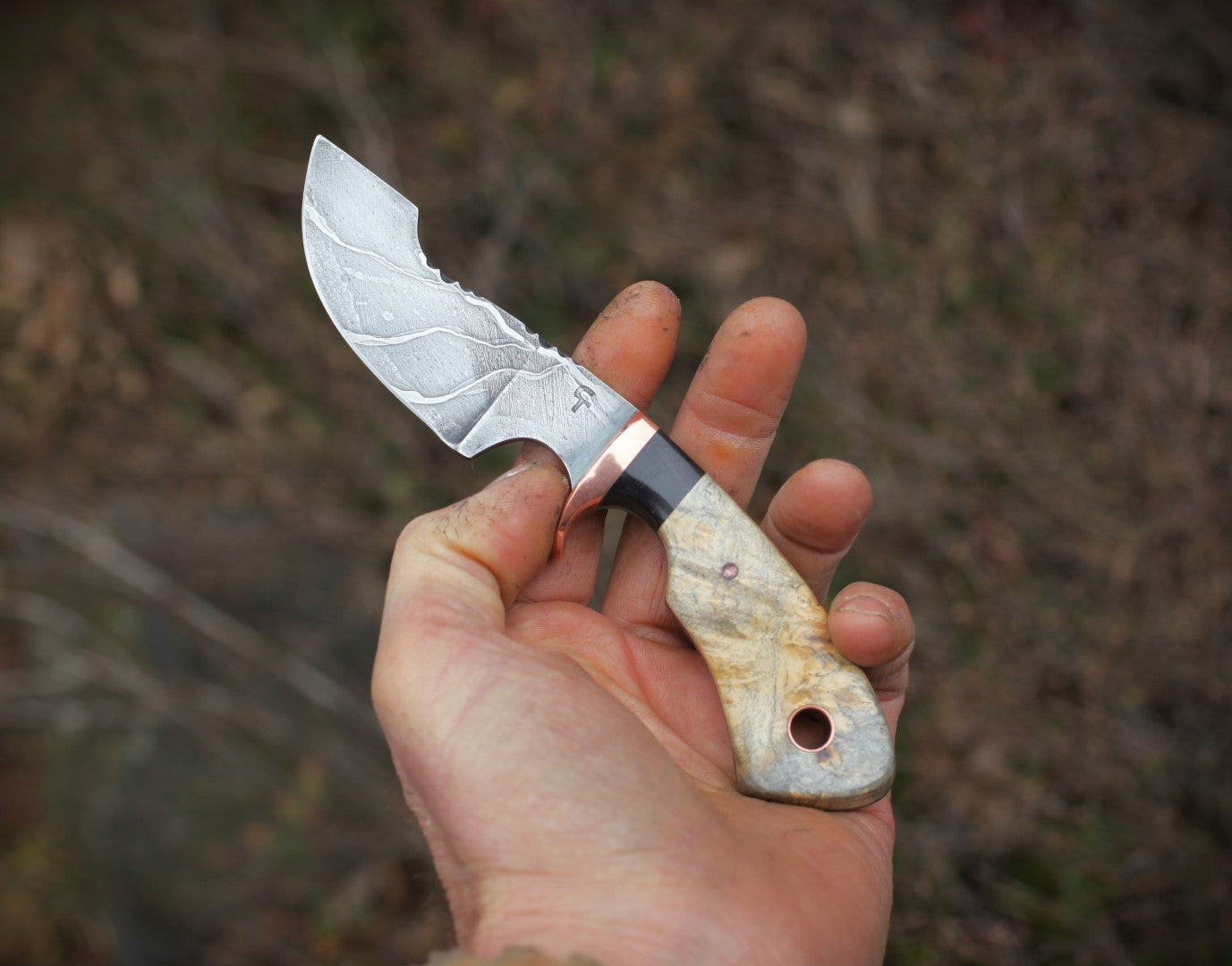 Modified Drop Point Hunter, buckeye burl