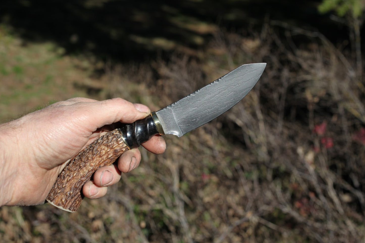 Etched Utility/Hunter with elk and blesbok horn