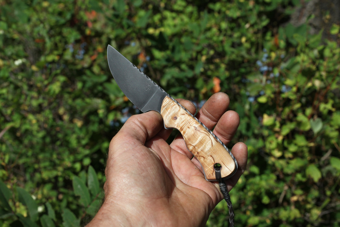 Guardless Little Guy, masur birch