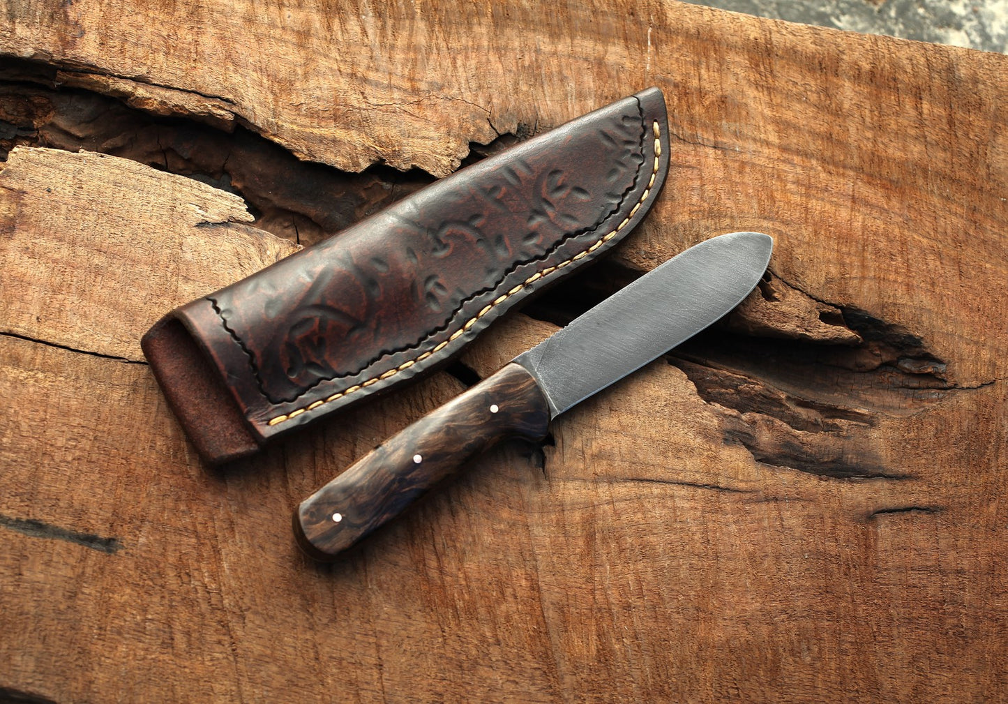 Kephart clone, redwood burl