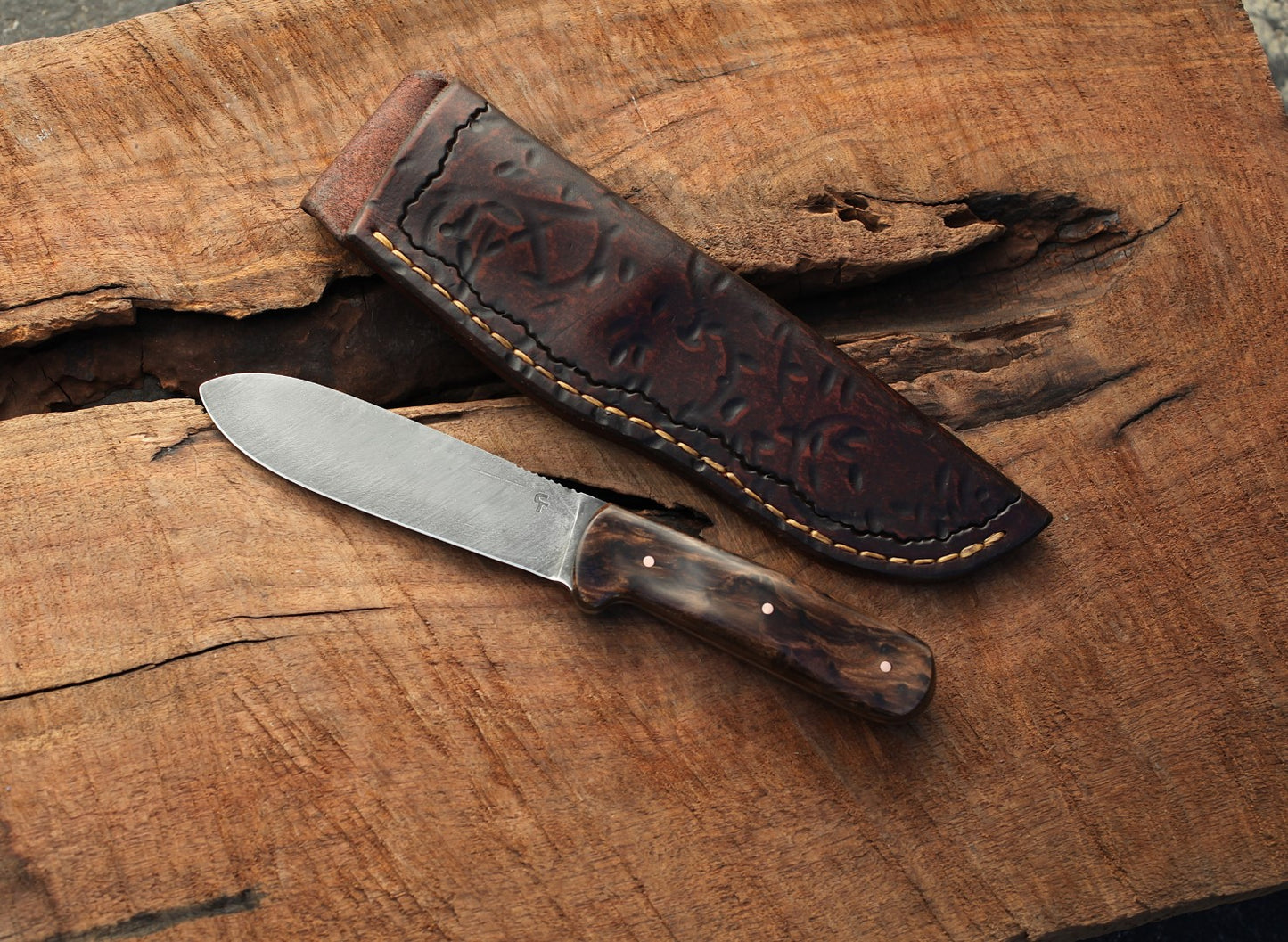 Kephart clone, redwood burl