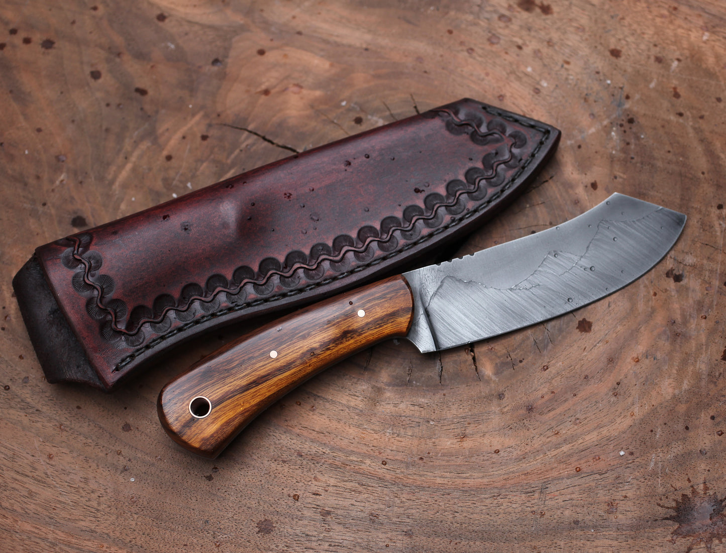 Spay point Camp knife, Arizona ironwood