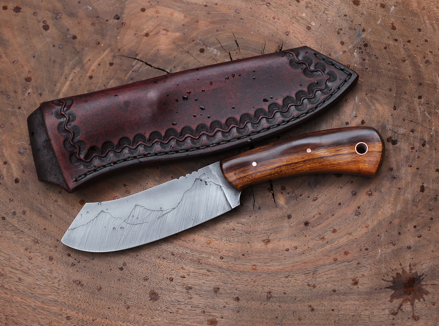 Spay point Camp knife, Arizona ironwood