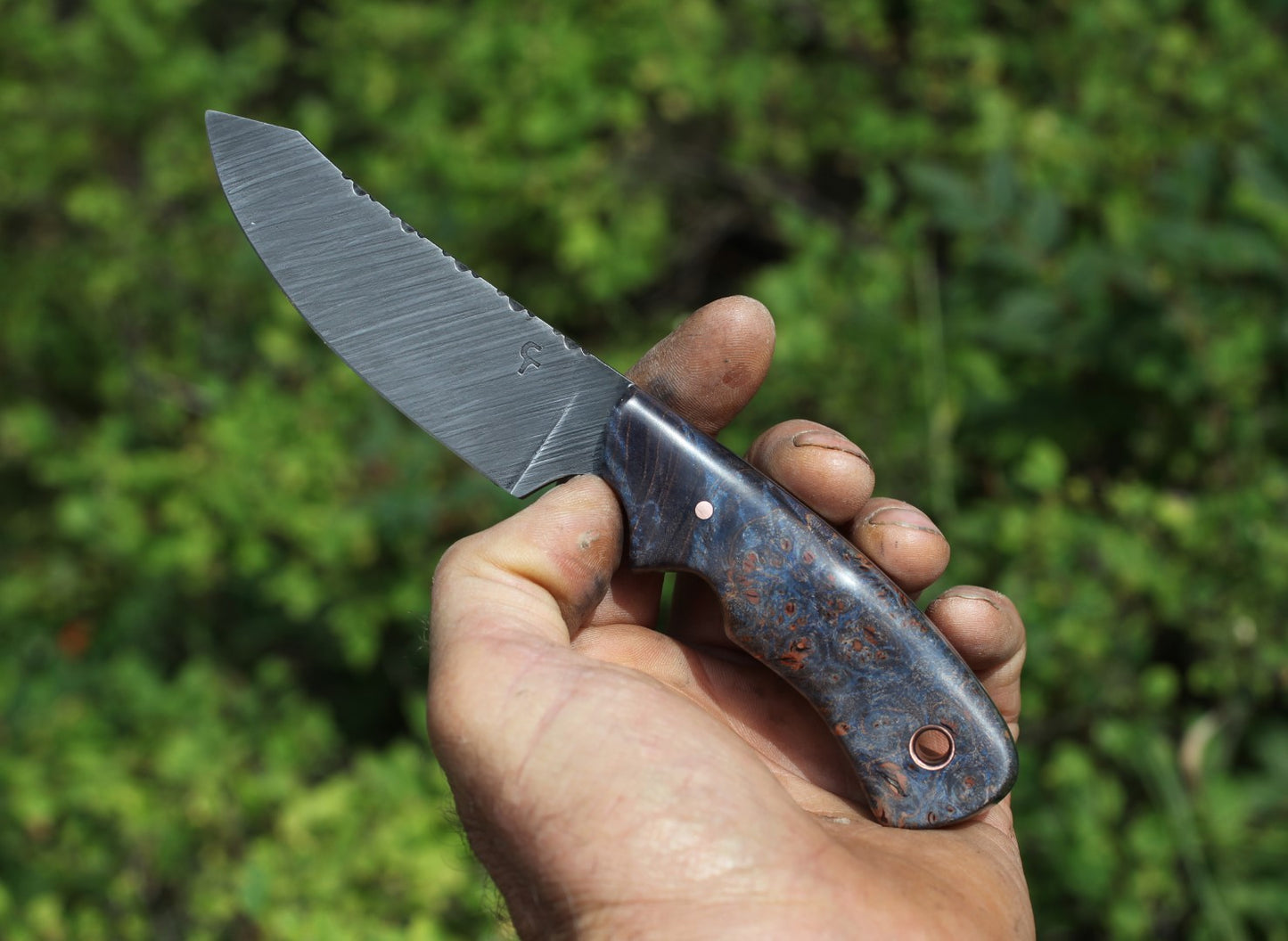 Spay point utility knife. blue maple burl
