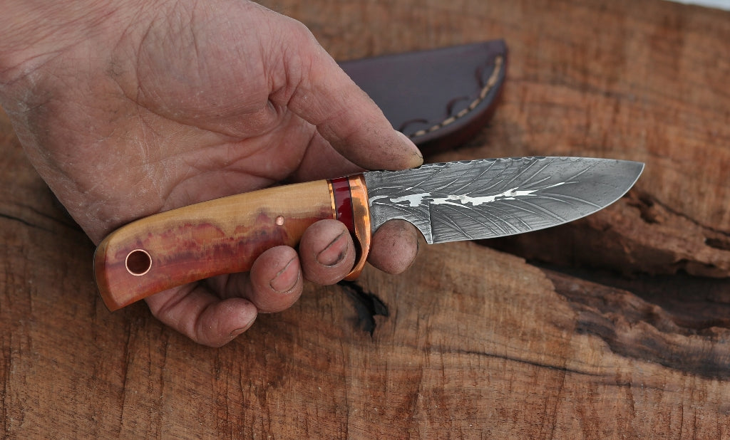 Custom drop point, box elder