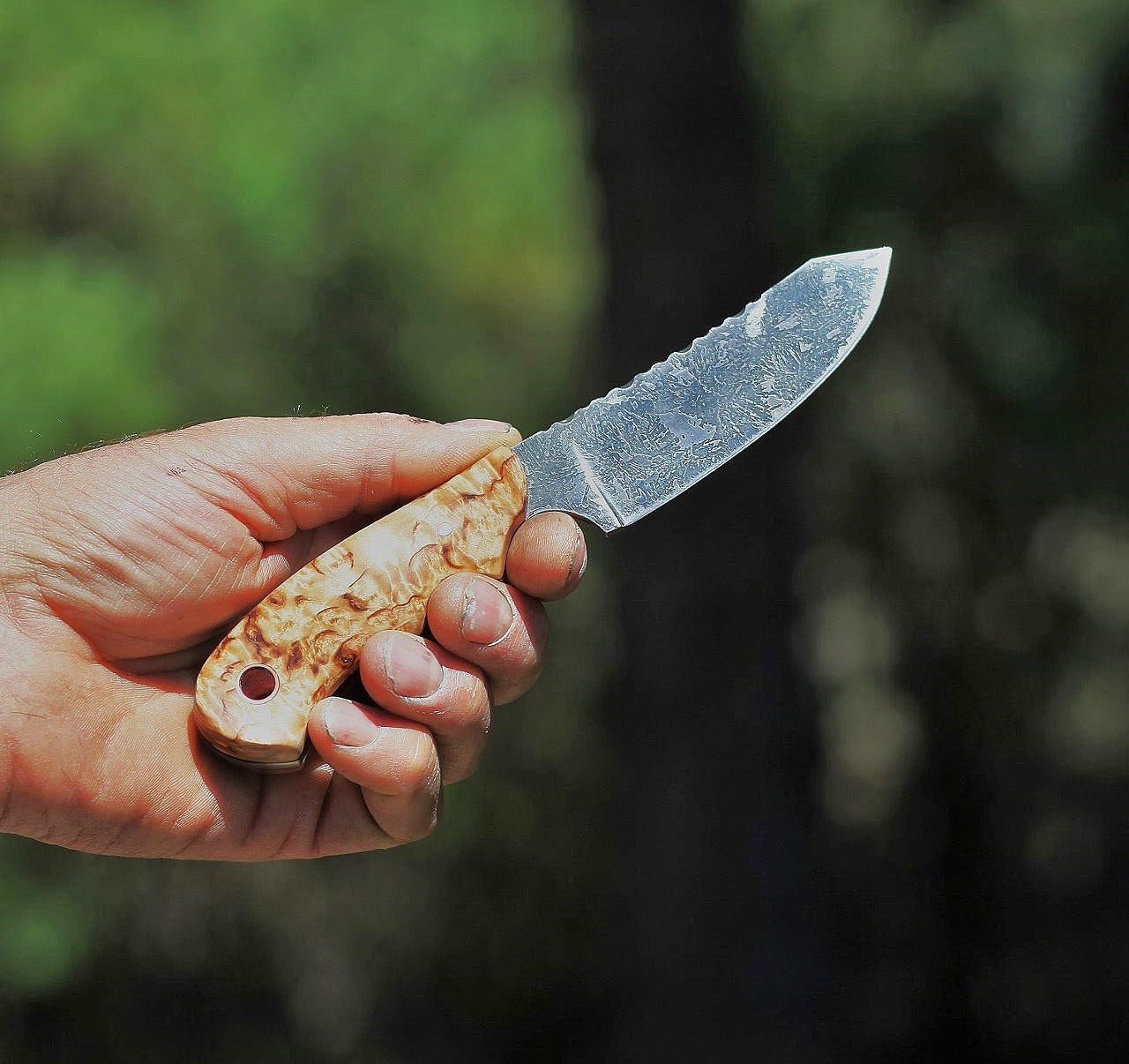 Spay point Utility/Hunter, Masur birch