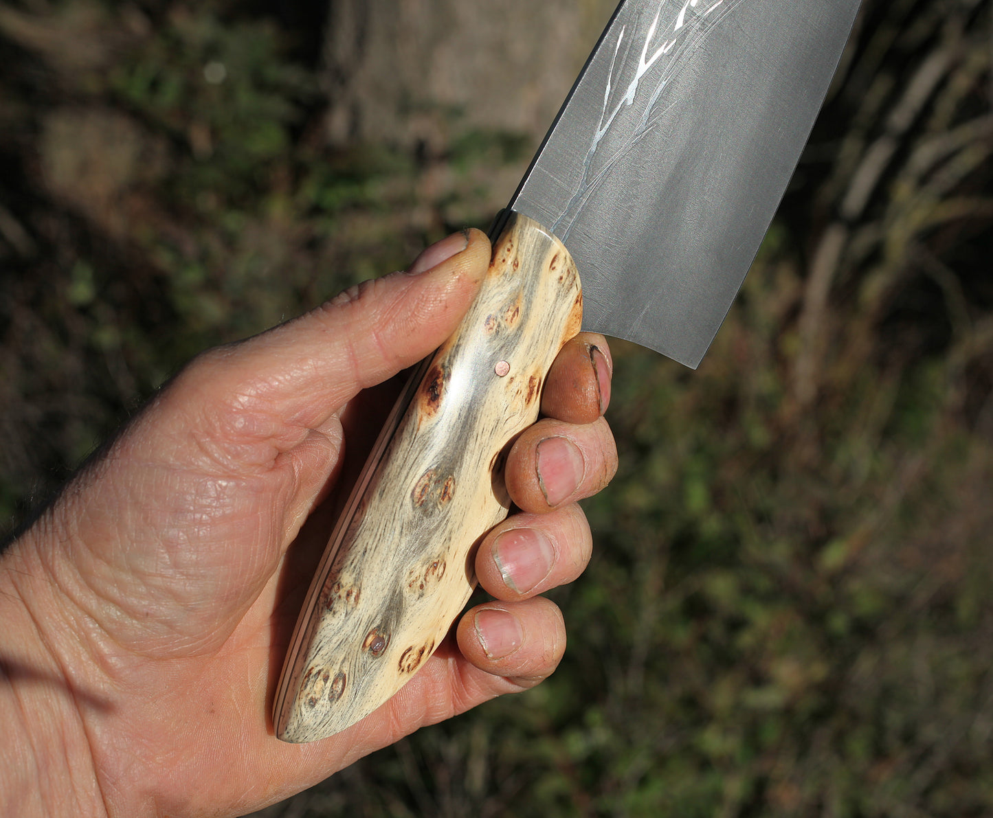 Custom 7.5 inch Chefs knife, Ponderosa pine