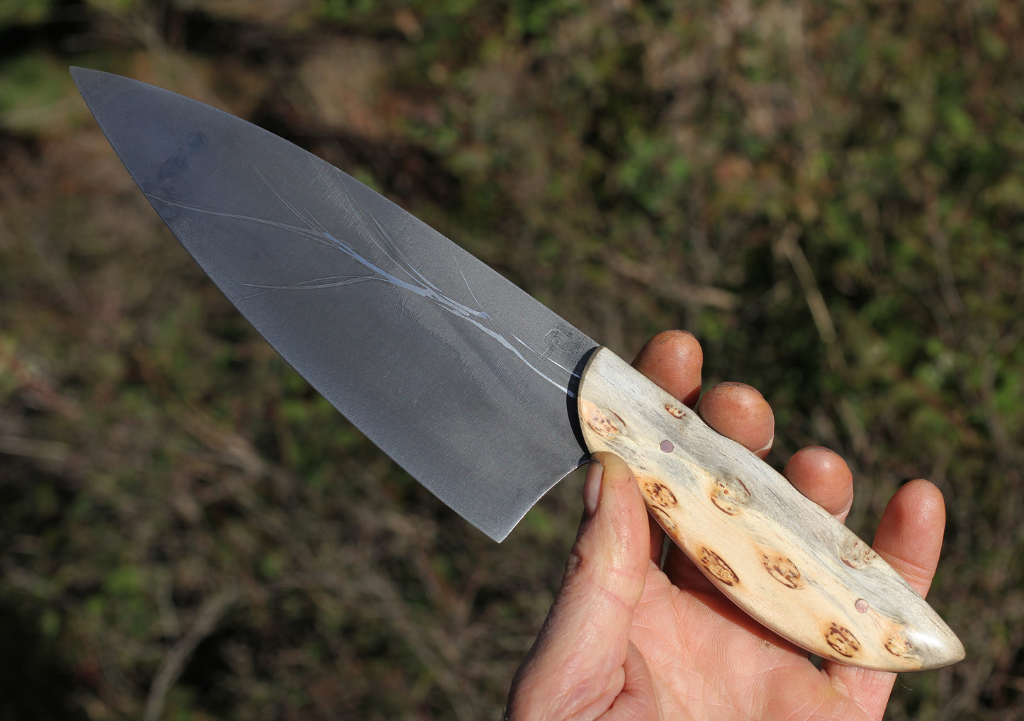Custom 7.5 inch Chefs knife, Ponderosa pine