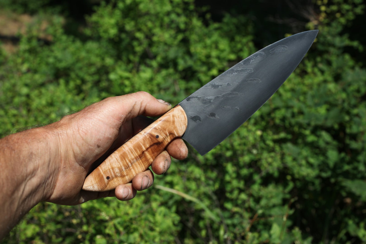 7.25 inch Chefs Knife, Chinese elm