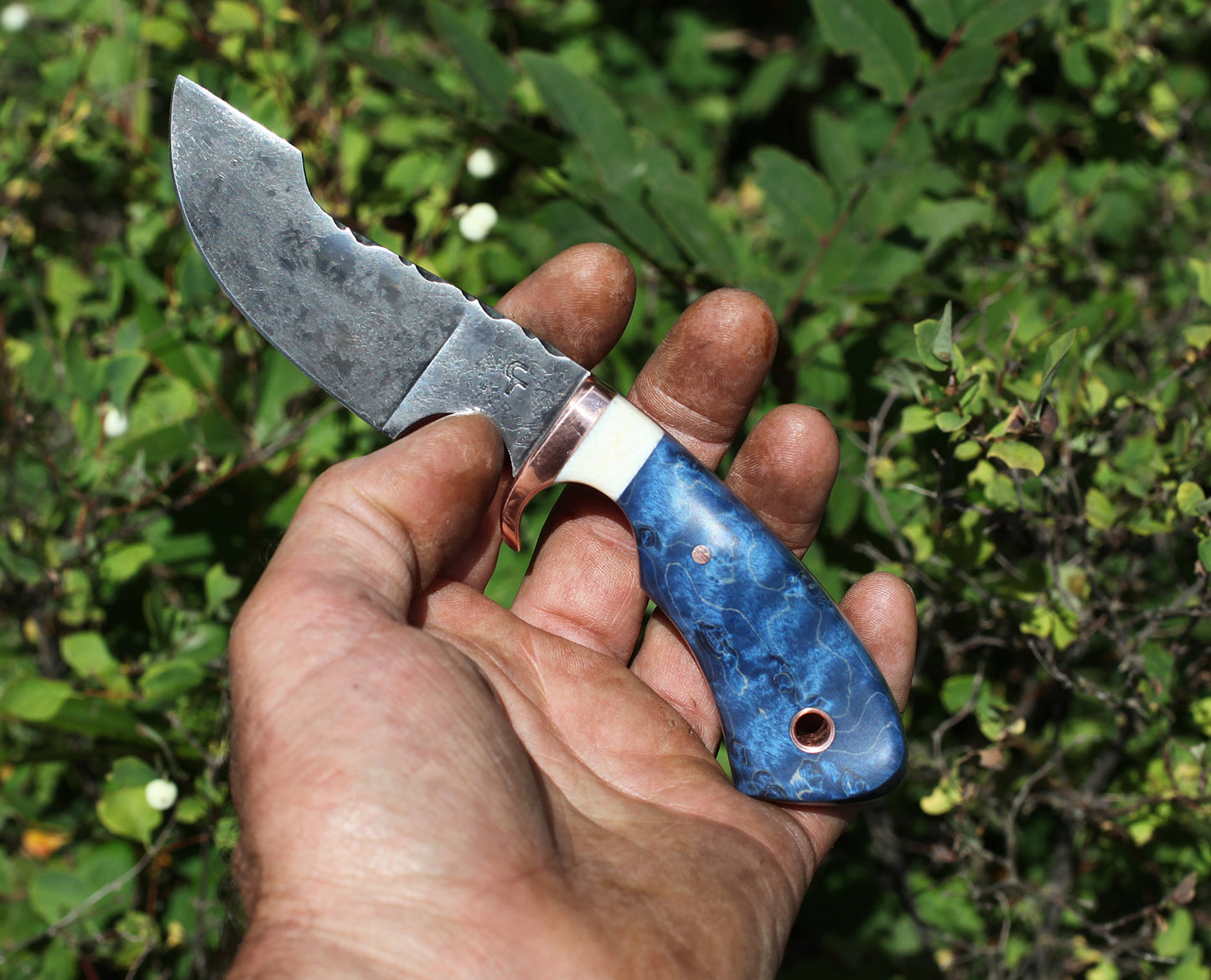 Modified Drop point hunter, blue maple