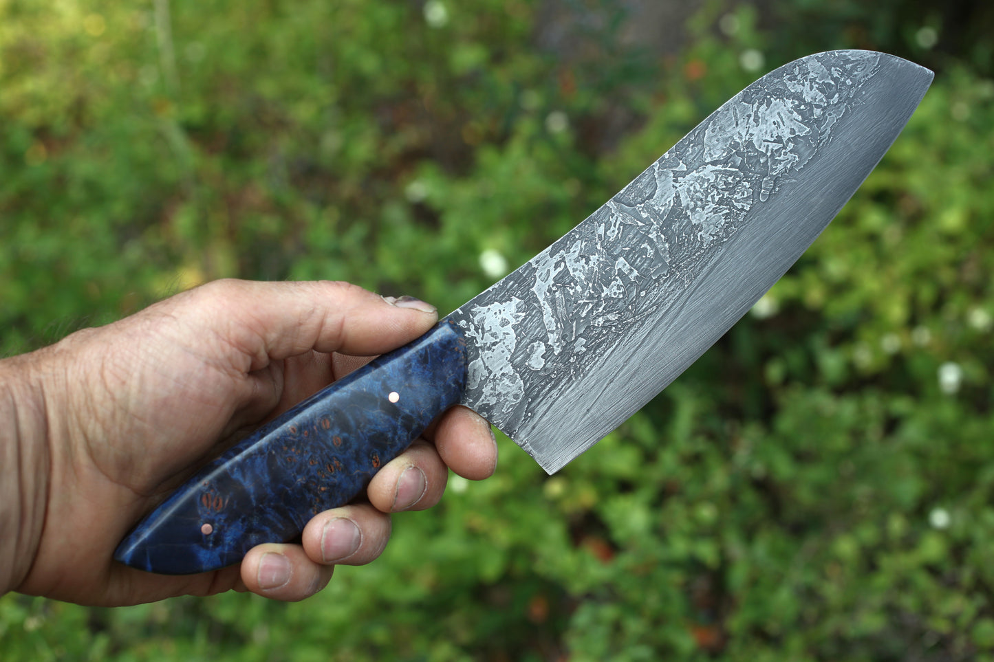7.5 inch Camp/chef knife, blue maple burl