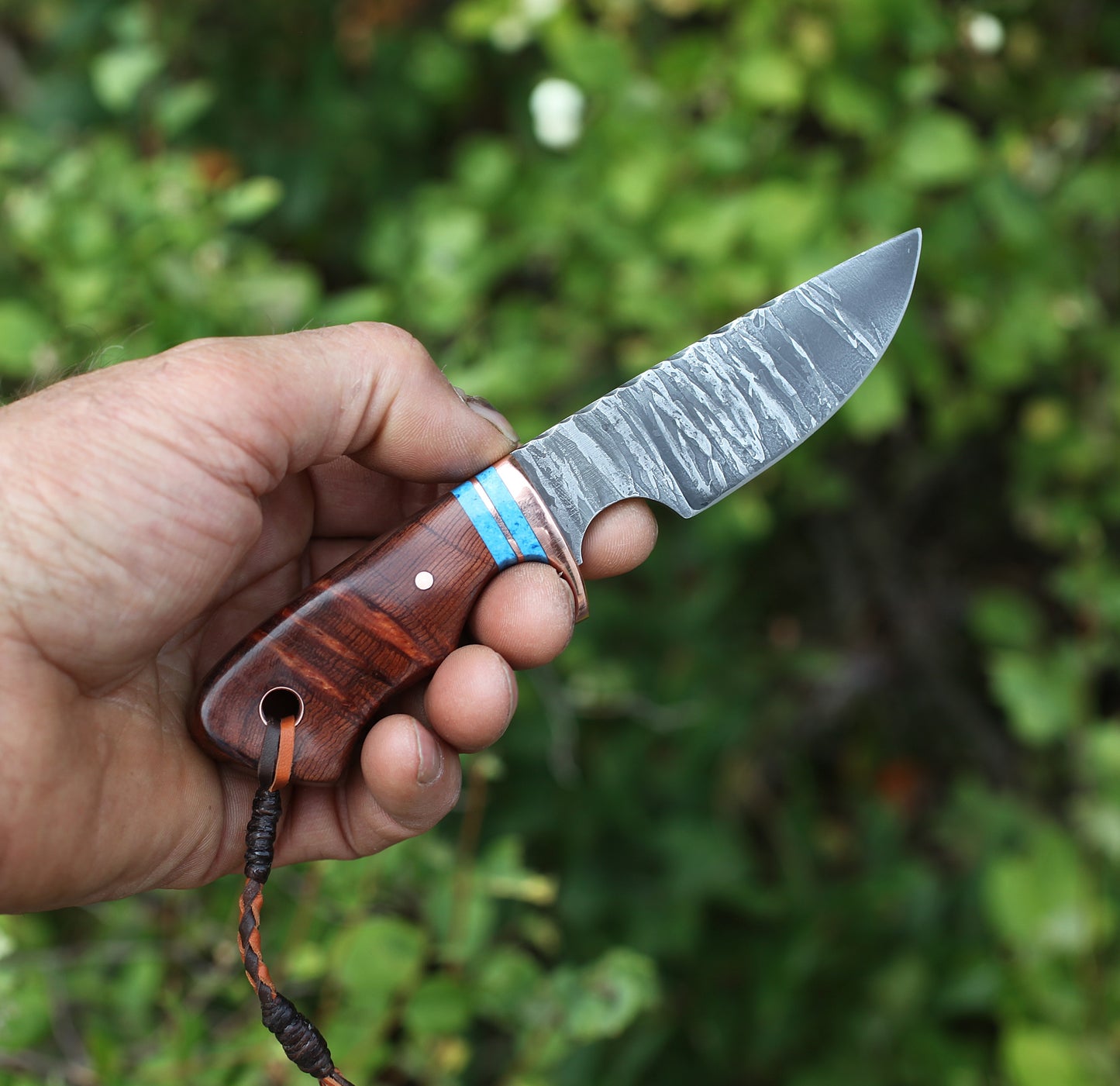Little Guy,  sequoia redwood burl