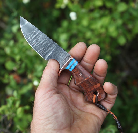 Little Guy,  sequoia redwood burl