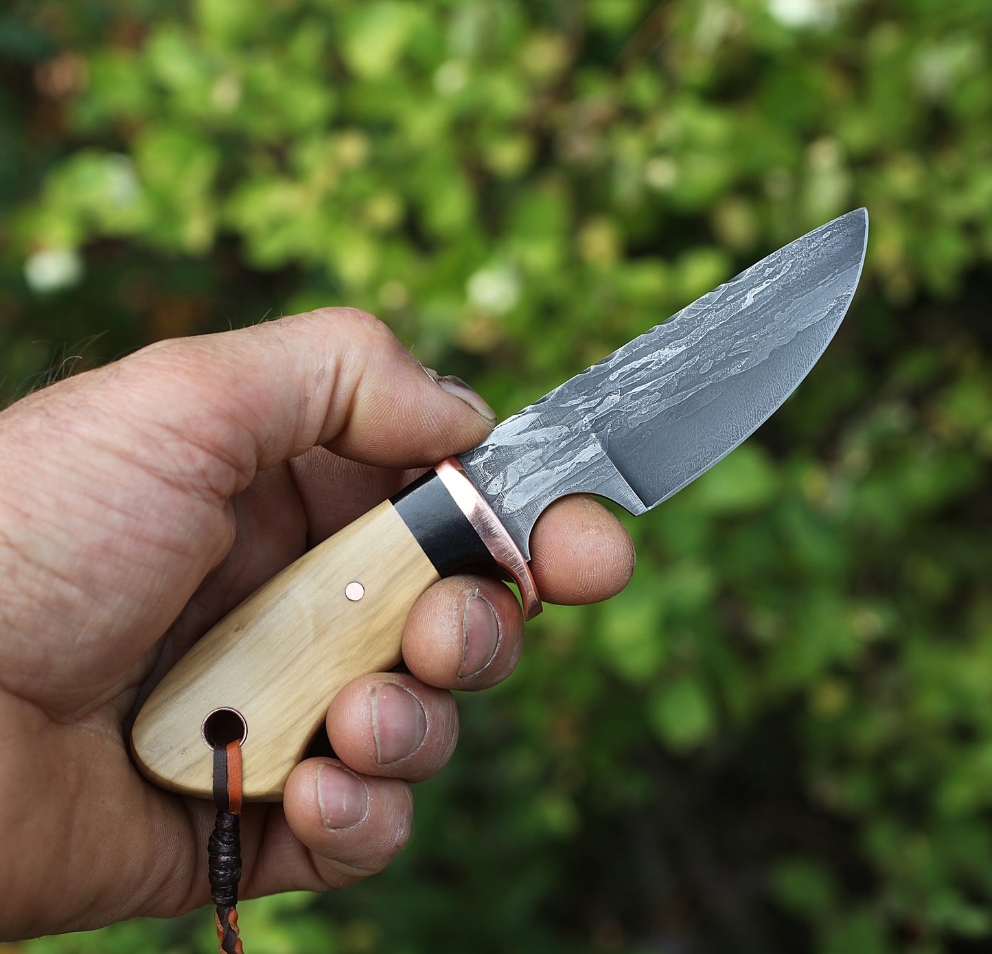 "Little Guy" EDC, live oak