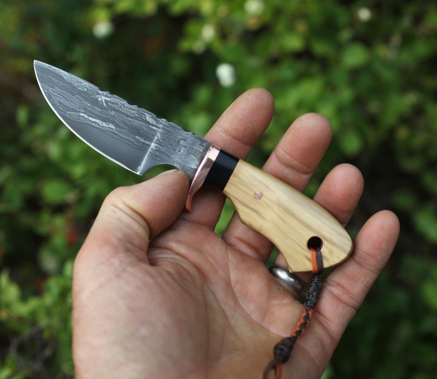 "Little Guy" EDC, live oak