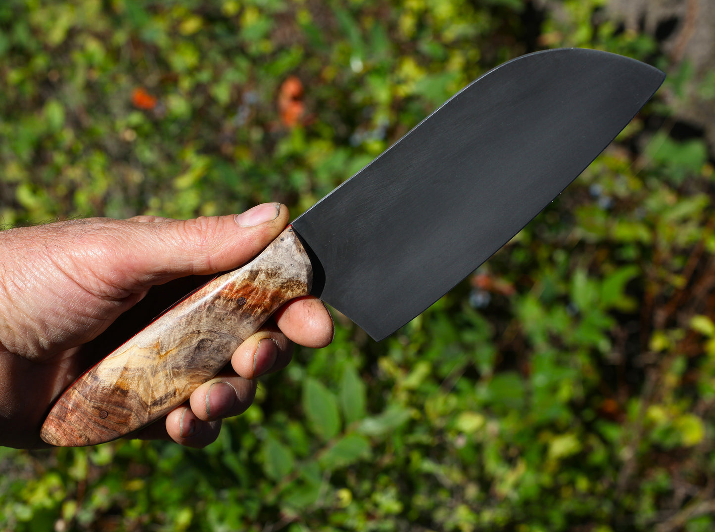 5.75 inch Camp Chef knife, box elder burl