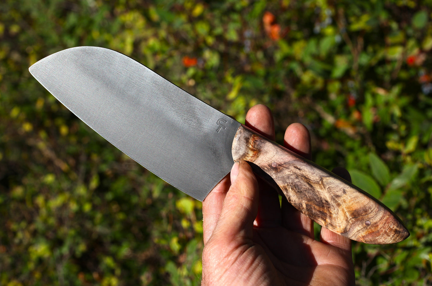 5.75 inch Camp Chef knife, box elder burl