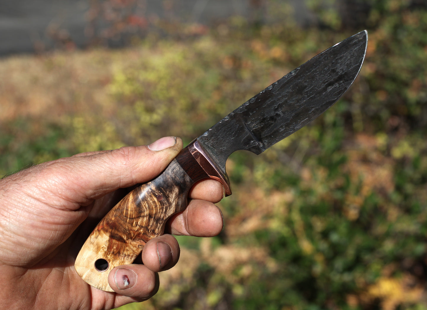 Custom Drop Point, fancy box elder