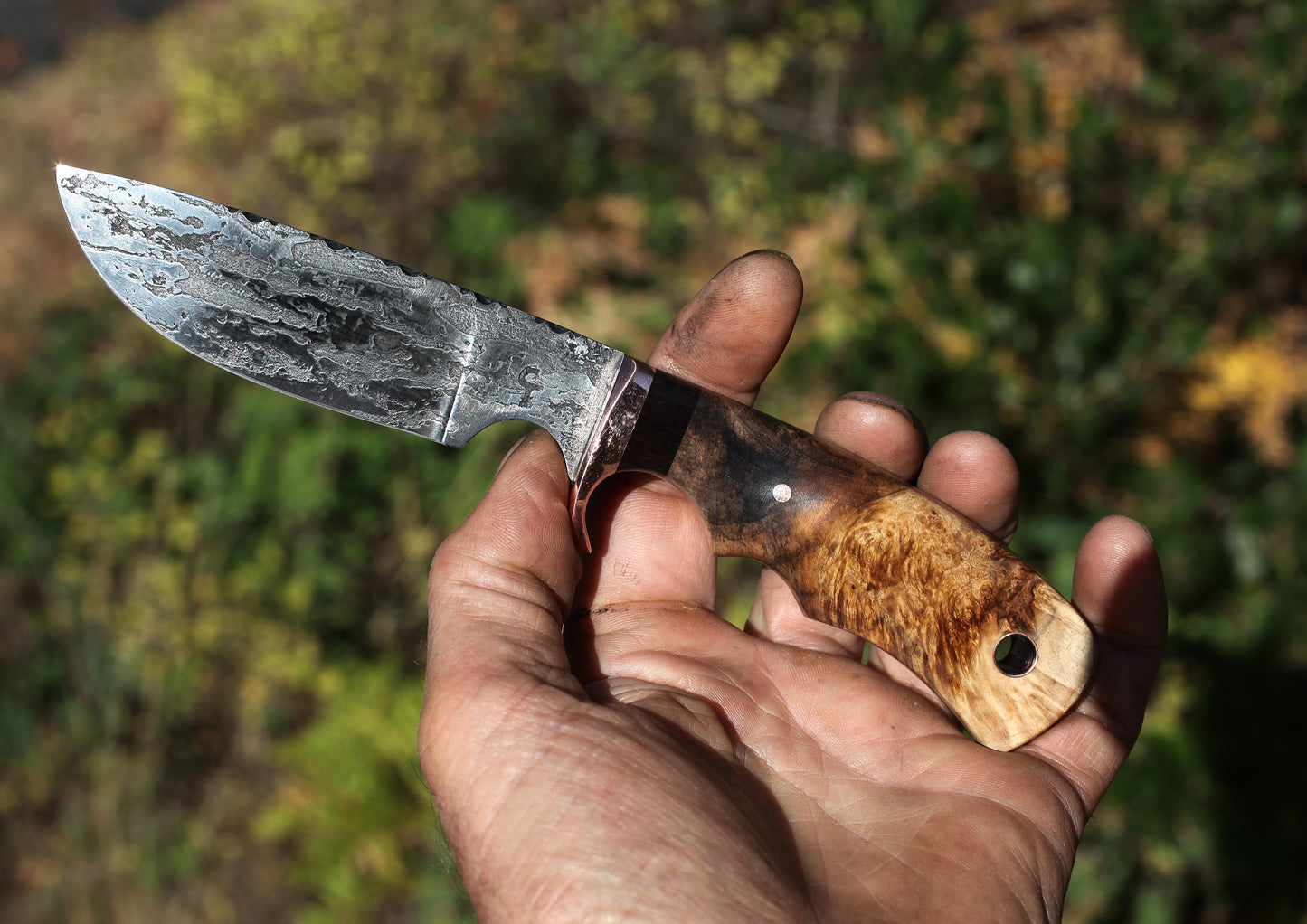 Custom Drop Point, fancy box elder