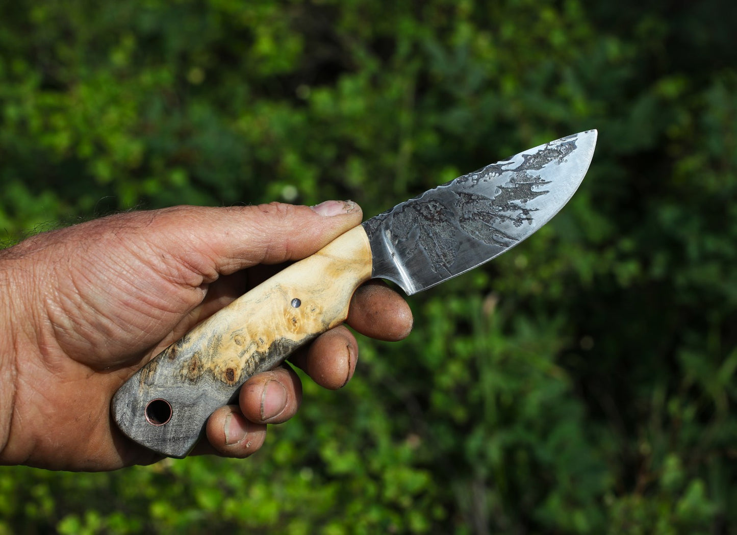 Guardless Drop point Hunter, buckeye burl