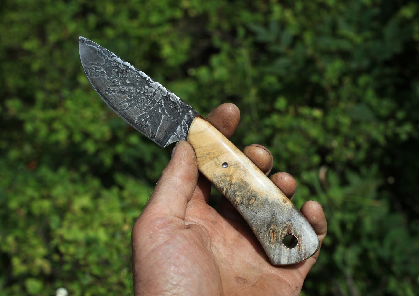 Guardless Drop point Hunter, buckeye burl