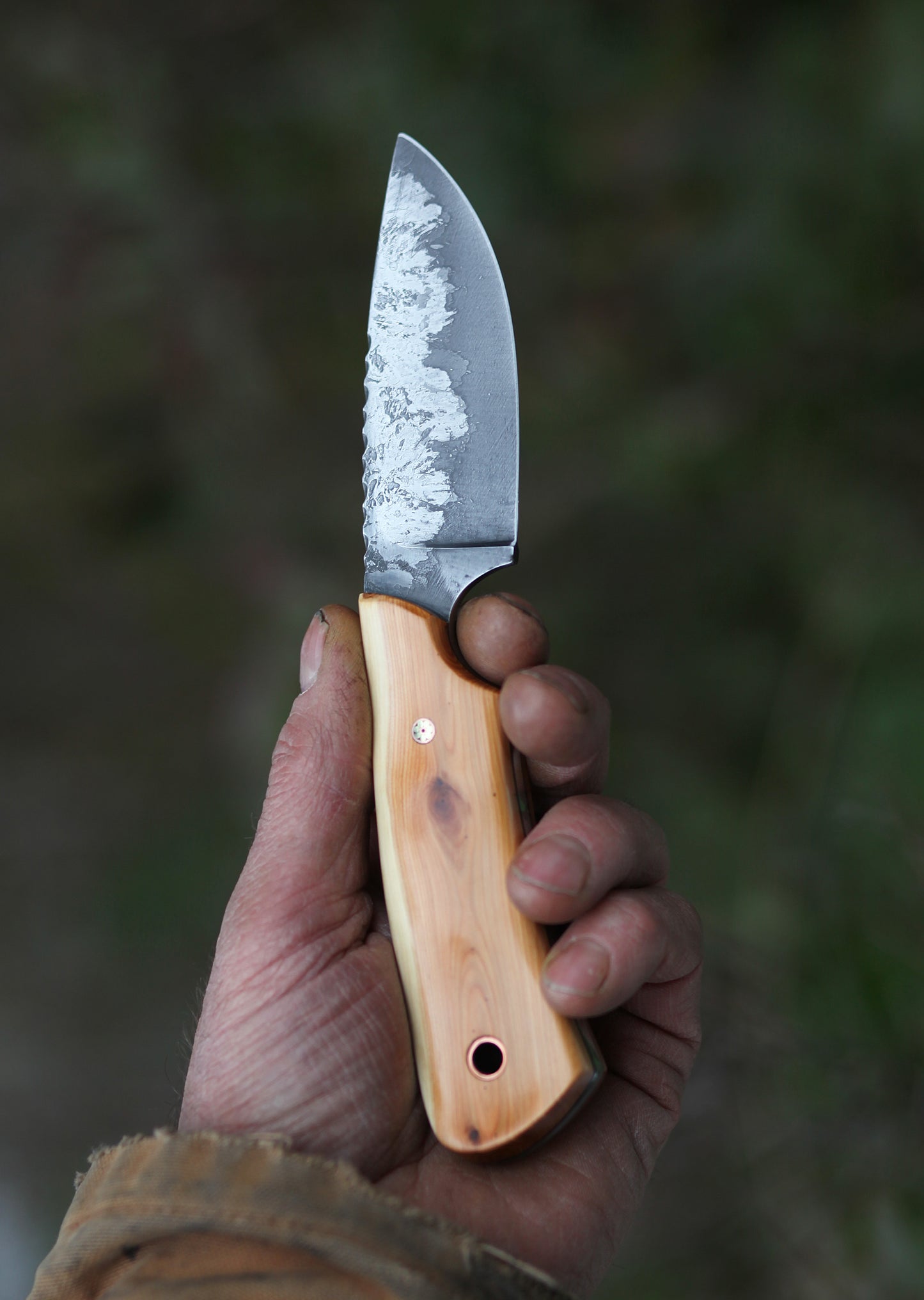 Guardless Drop point hunting knife, Pacific yew wood