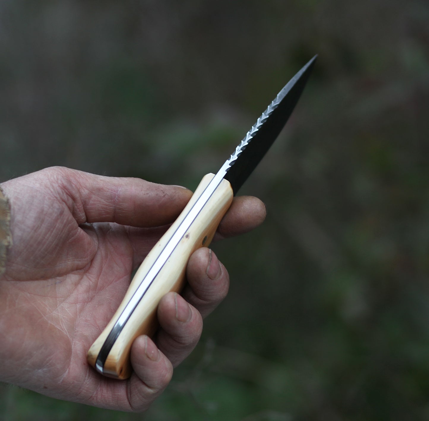 Guardless Drop point hunting knife, Pacific yew wood