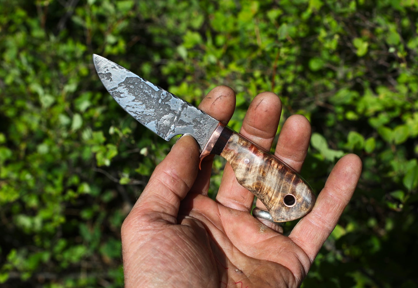 Little Guy utility, EDC - box elder burl