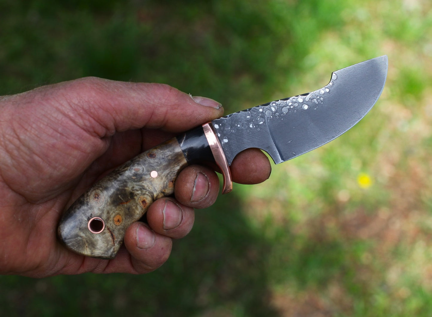 Modified Drop point hunter, buckeye burl