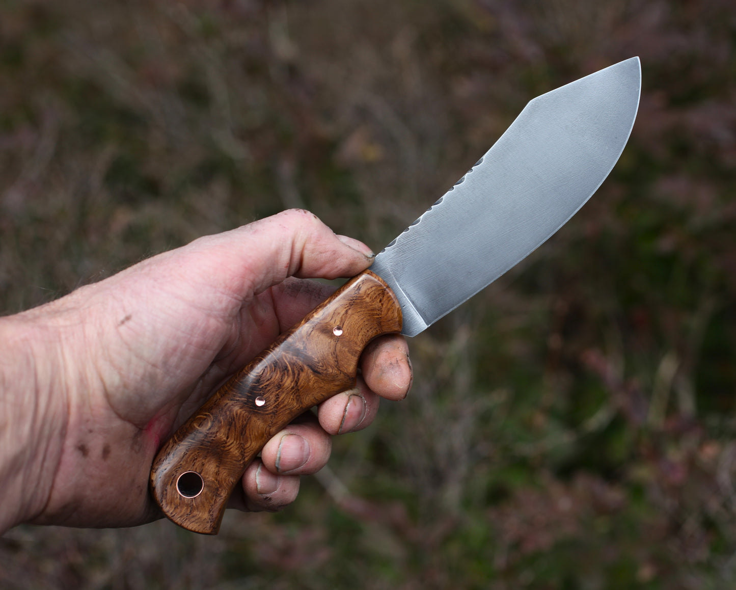 Nessmuk in dark oak