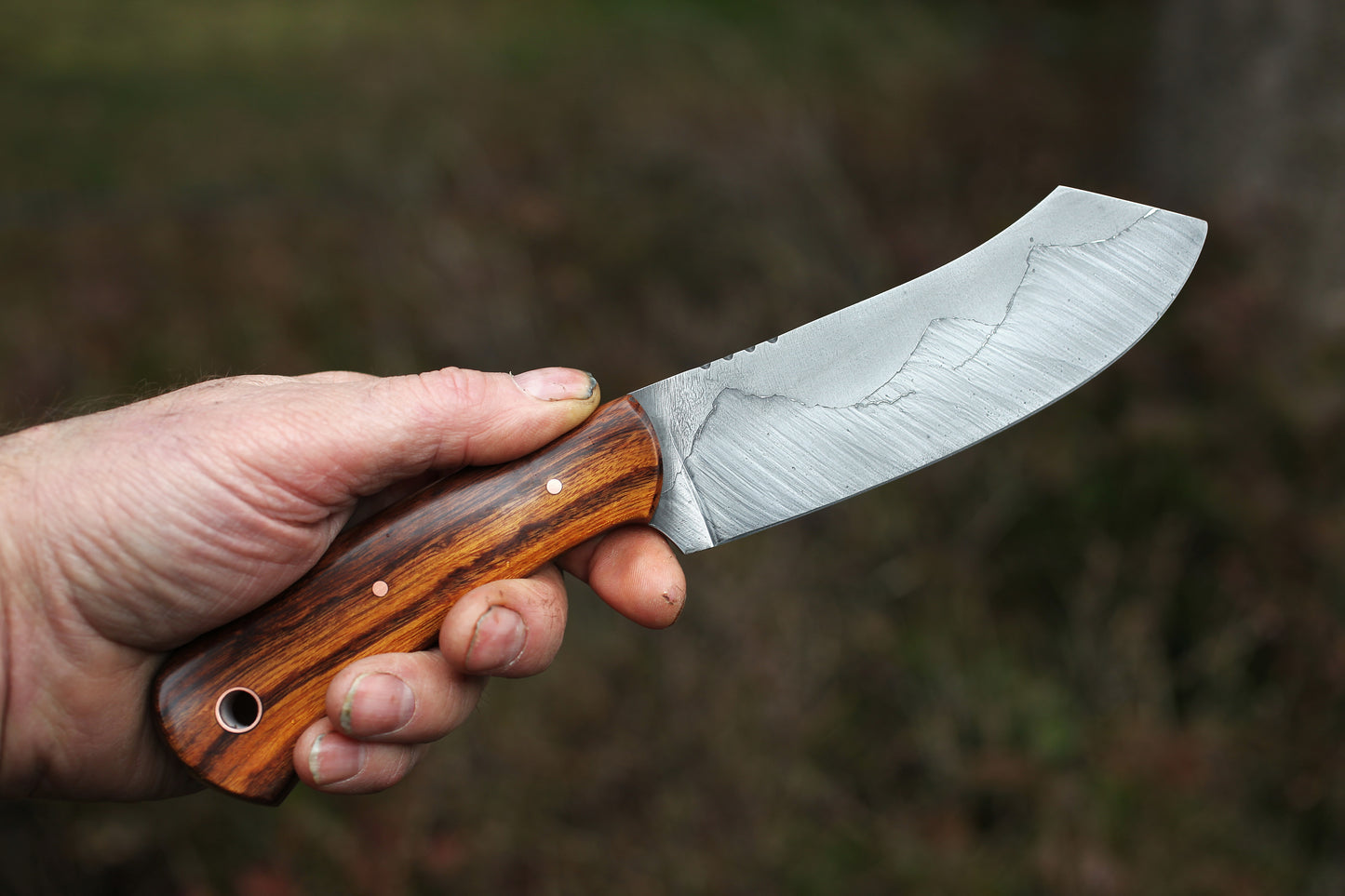 Spay point Camp knife, Arizona ironwood