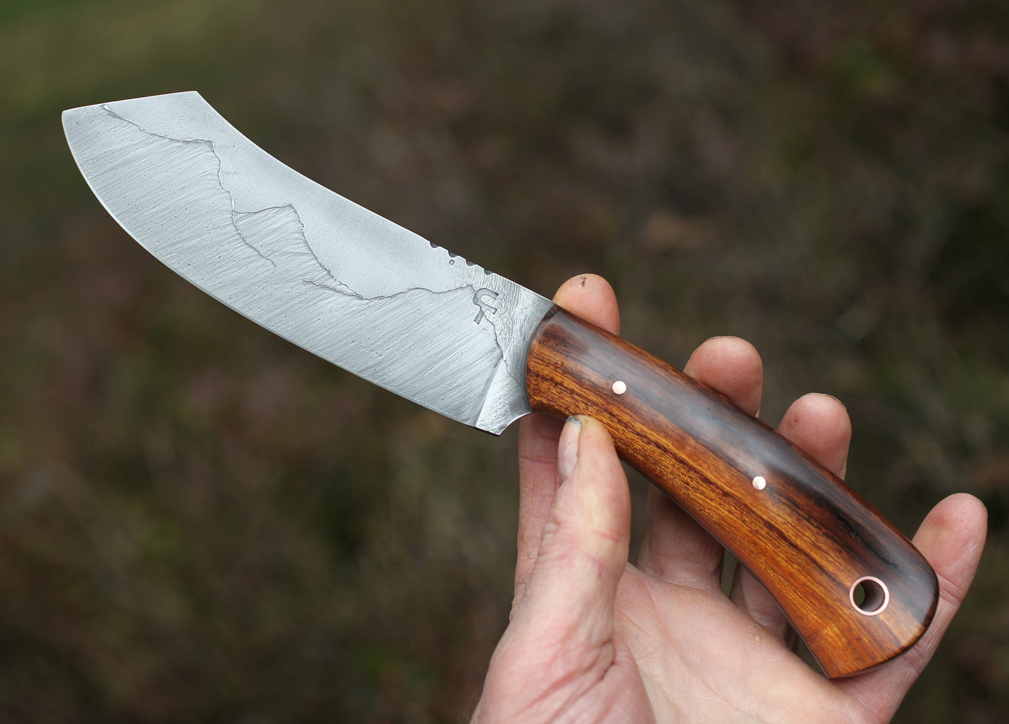 Spay point Camp knife, Arizona ironwood
