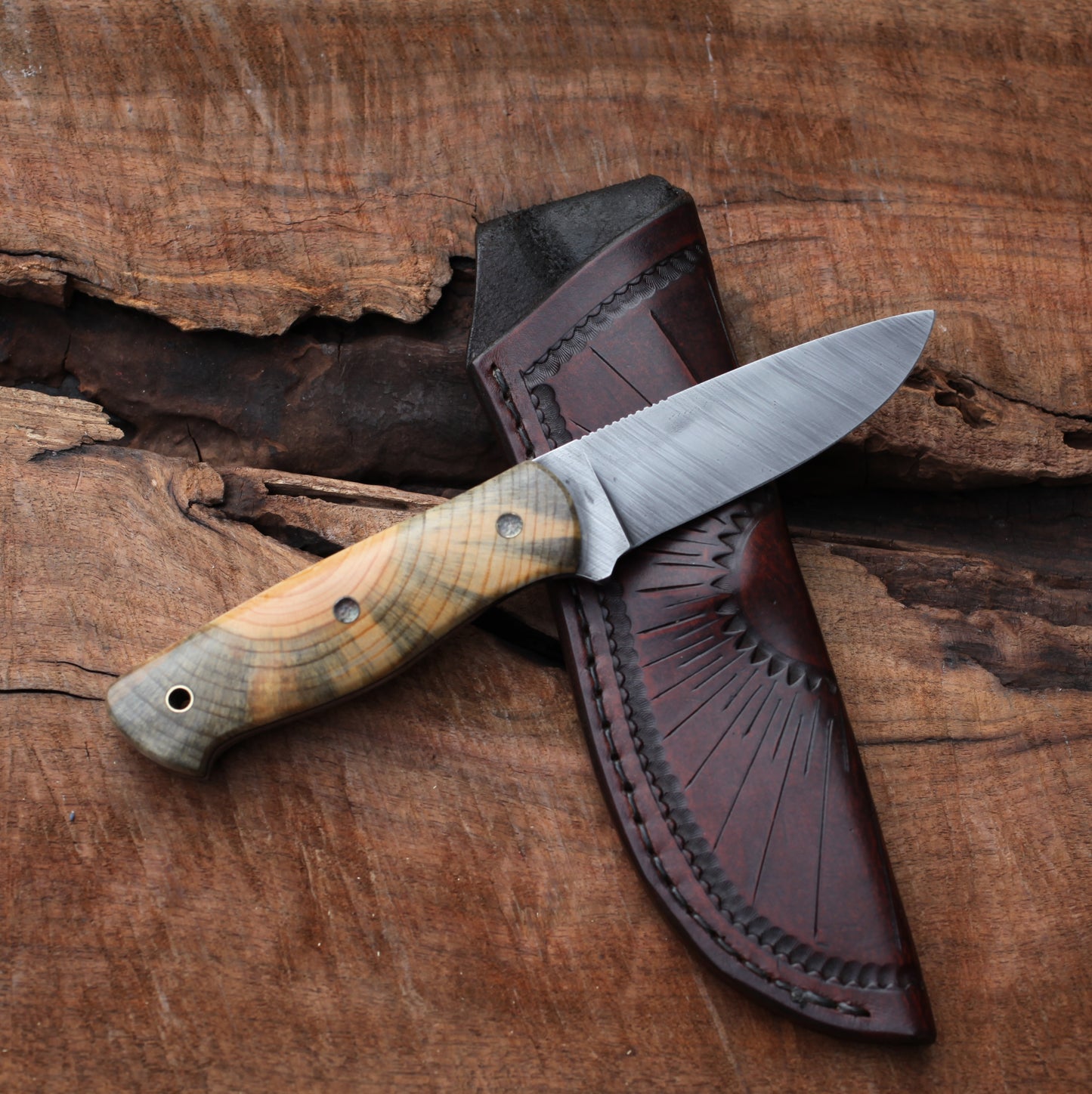 Woodlore clone, Ponderosa pine