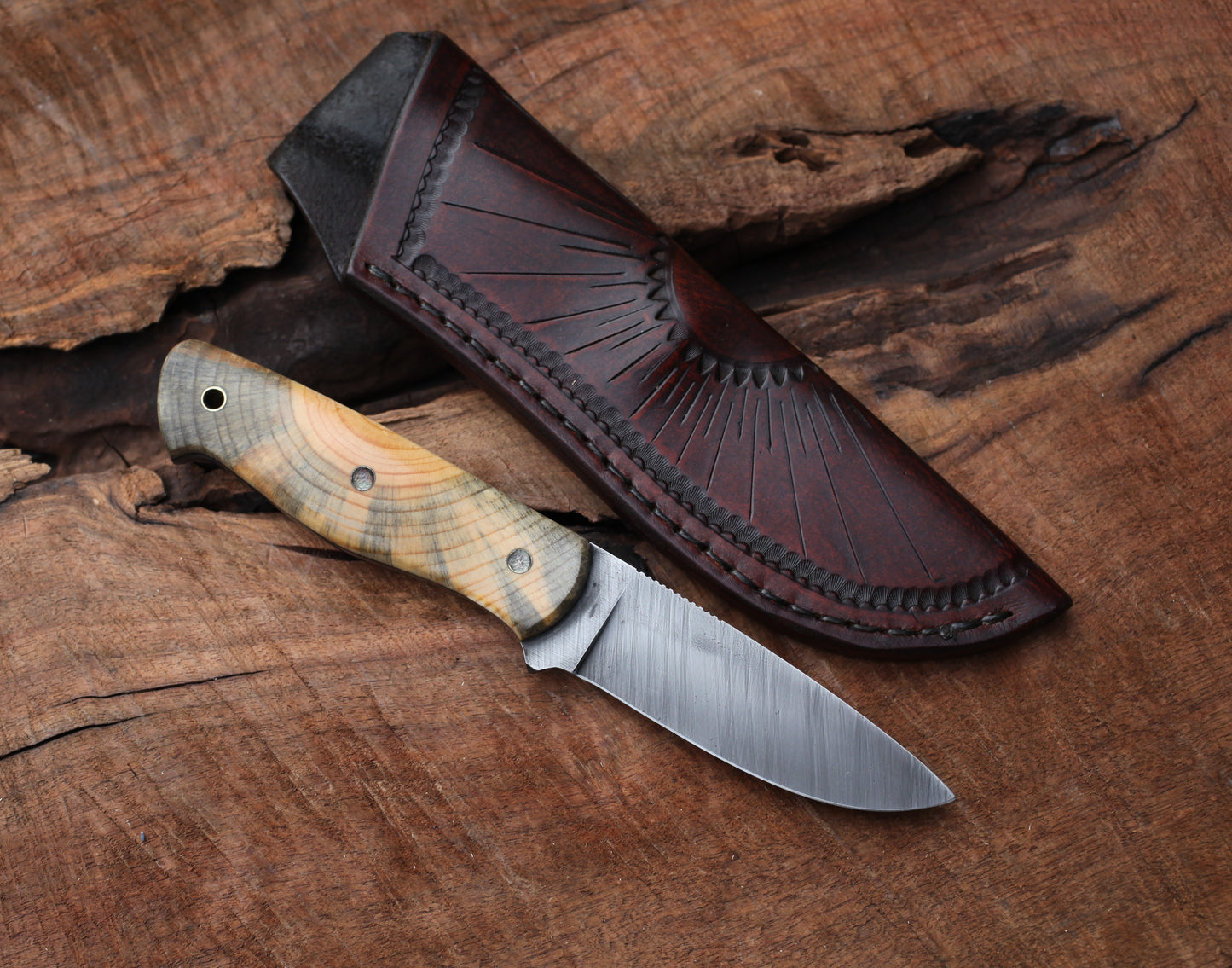 Woodlore clone, Ponderosa pine