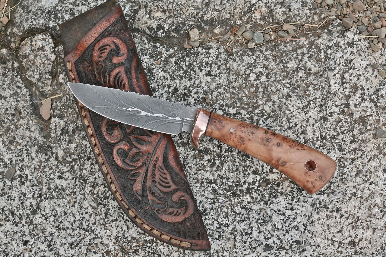 Custom etched drop point knife, thuya burl