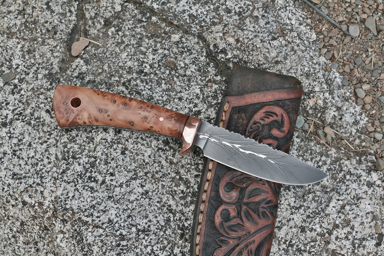 Custom etched drop point knife, thuya burl