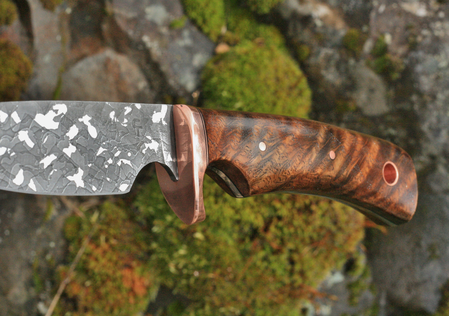 Large Game hunter, figured oak