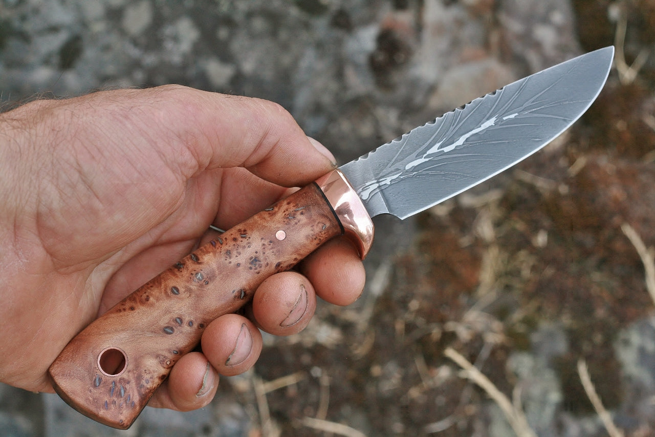 Custom etched drop point knife, thuya burl