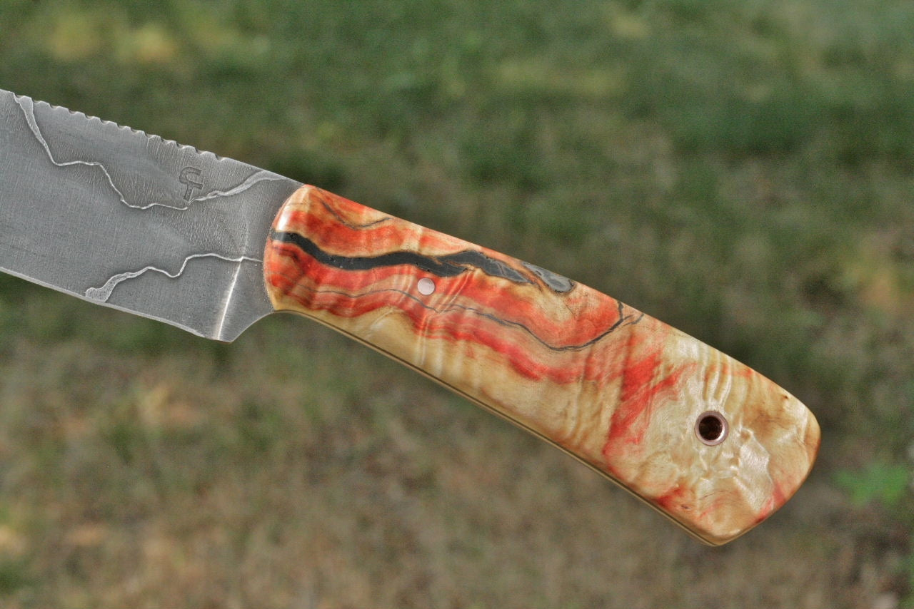 Custom hunter utility knife, box elder