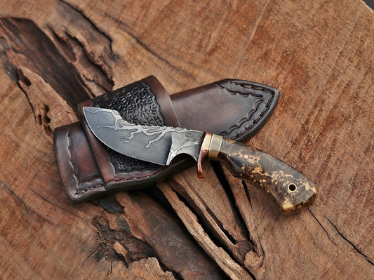 Modified drop point hunter, box elder