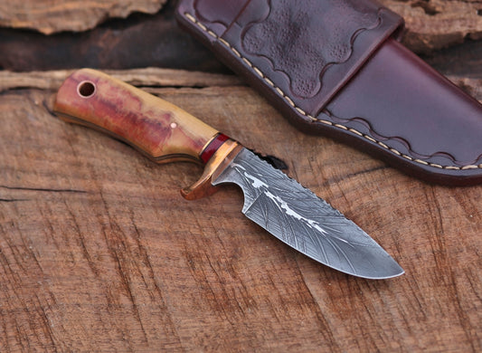 Custom drop point, box elder