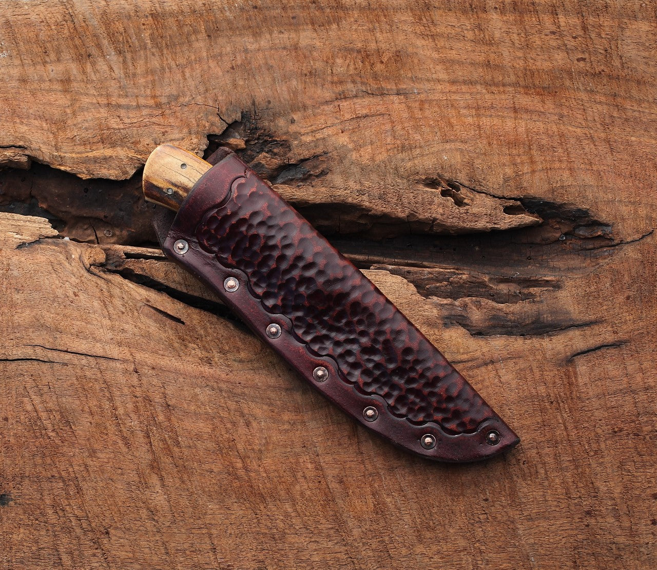 Custom hunter, elk/copper