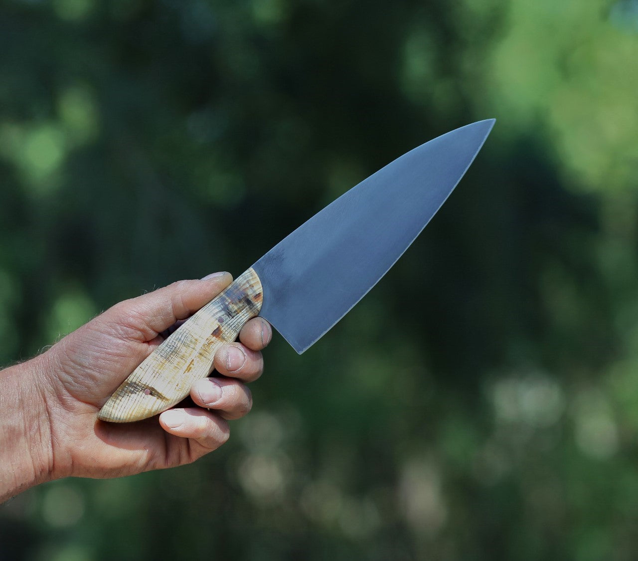 Custom 7.5 inch Chefs knife, blue Ponderosa pine